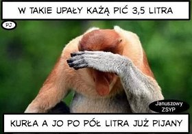 Najładniejsze zdjęcie użytkownika nierobmitego1 - 