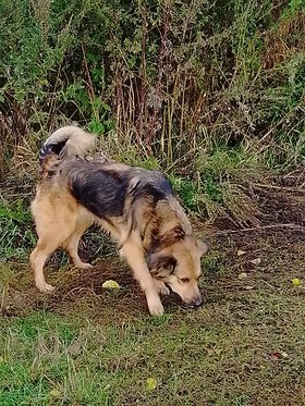 Najładniejsze zdjęcie użytkownika RafalZyzniewski1 - 