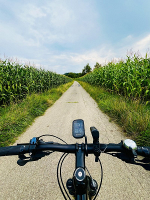 vehicle, bicycle, road