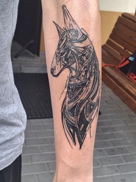 Najładniejsze zdjęcie użytkownika mateusz1984 - 