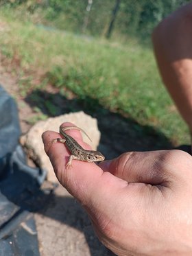 Najładniejsze zdjęcie użytkownika wites953 - 