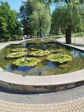 Najładniejsze zdjęcie użytkownika bmarek444 - 