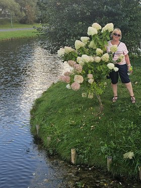 Najładniejsze zdjęcie użytkownika gregorowiczka - 