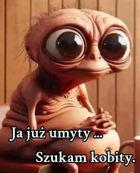 Najładniejsze zdjęcie użytkownika kapim4 - 