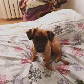 Najładniejsze zdjęcie użytkownika adrian222207 - 