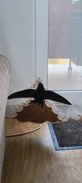 Najładniejsze zdjęcie użytkownika andrzejkopec902 - 