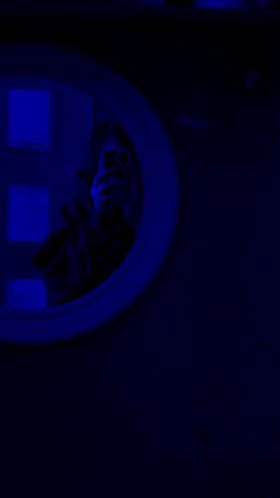 Najładniejsze zdjęcie użytkownika Sylwunia033 - 