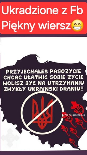 Najładniejsze zdjęcie użytkownika robalfek - 