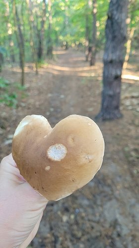 Najładniejsze zdjęcie użytkownika Malutkaaaaaaaaaa - 