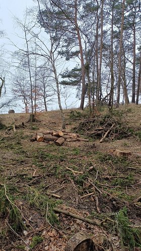 Najładniejsze zdjęcie użytkownika JANKOCHAMPIONSS - 