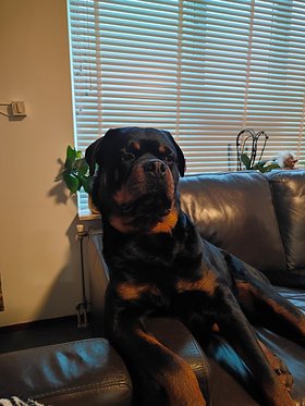 Najładniejsze zdjęcie użytkownika agnieszkacwioro4 - 