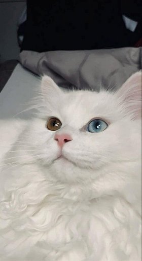 Najładniejsze zdjęcie użytkownika OudM