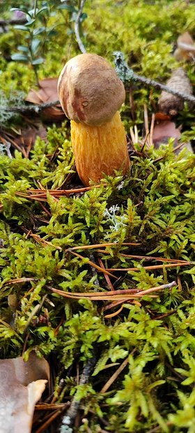 Najładniejsze zdjęcie użytkownika Marzyciel997 - 