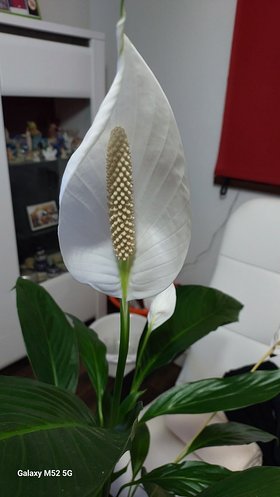 Najładniejsze zdjęcie użytkownika KrzysztofKoszelnik - 