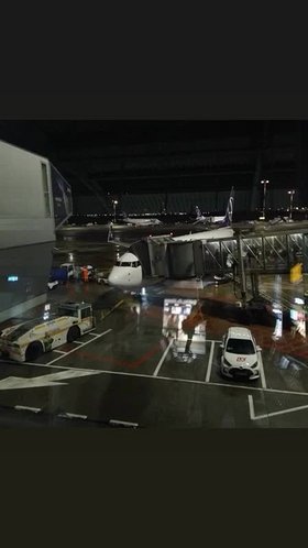 Najładniejsze zdjęcie użytkownika PabloEscobar3 - 