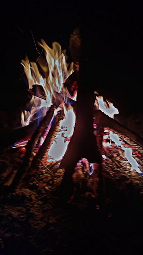 Najładniejsze zdjęcie użytkownika nkarolina969 - 