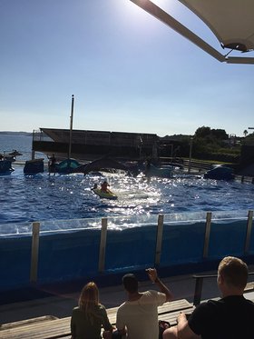 Najładniejsze zdjęcie użytkownika Miku12 - 