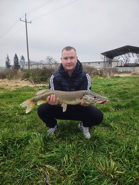 Benutzerfoto Buli9672 (Mann), Rejowiec