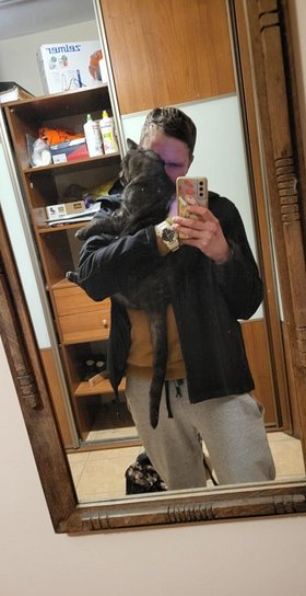 Najładniejsze zdjęcie użytkownika hawakisso1 - 