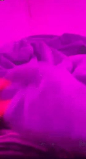 Najładniejsze zdjęcie użytkownika jozefwszolek - 