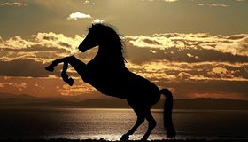 Najładniejsze zdjęcie użytkownika purzyckasandra26 - 