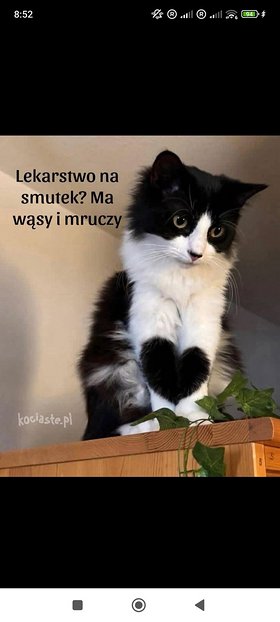 Najładniejsze zdjęcie użytkownika janjanusz861 - 