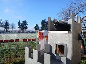 Najładniejsze zdjęcie użytkownika EmilioZlatanBarca - 