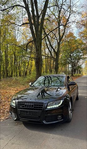 Najładniejsze zdjęcie użytkownika grames - 