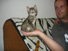 Najładniejsze zdjęcie użytkownika Wojti79 - 