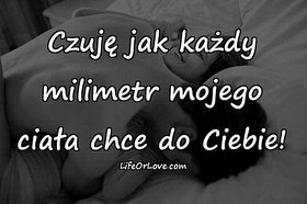 Najładniejsze zdjęcie użytkownika major19821980 - 