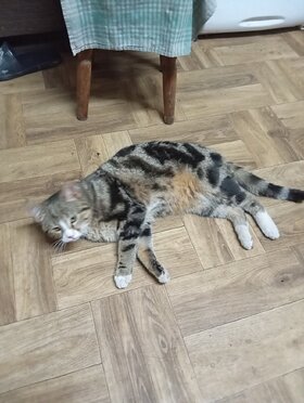 Najładniejsze zdjęcie użytkownika PraczinskaM - 