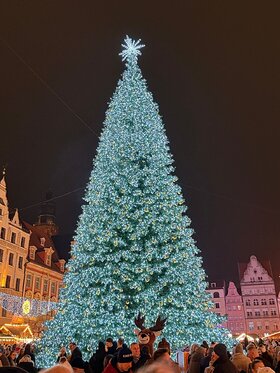 Najładniejsze zdjęcie użytkownika Fajnynickpozdrawia - 