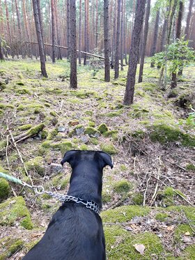 Najładniejsze zdjęcie użytkownika wadizg - 