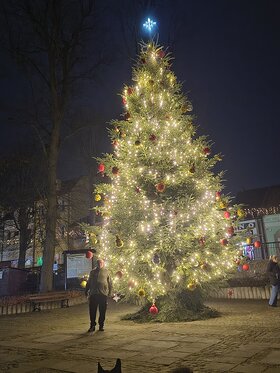 Najładniejsze zdjęcie użytkownika rometyogi - 