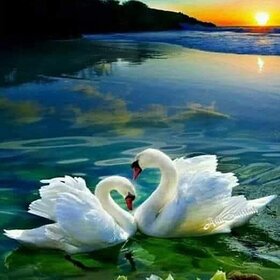 Najładniejsze zdjęcie użytkownika bozenasliwinskal67 - 