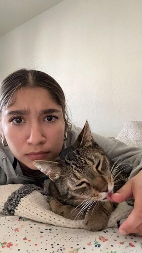 Najładniejsze zdjęcie użytkownika lilytroy45