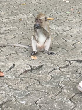 Najładniejsze zdjęcie użytkownika sabirna401 - 