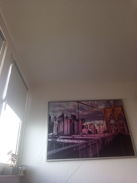 Najładniejsze zdjęcie użytkownika cajmerkrzysztof01 - 