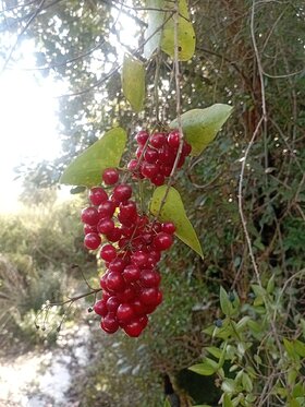Najładniejsze zdjęcie użytkownika harountibah6