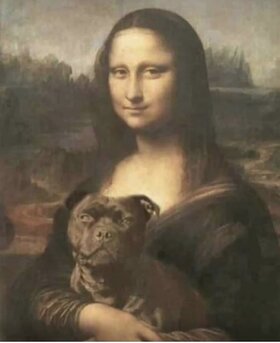 Najładniejsze zdjęcie użytkownika tz6dvqx6j2