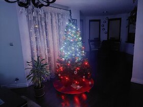 Najładniejsze zdjęcie użytkownika jarekzbroniec - 