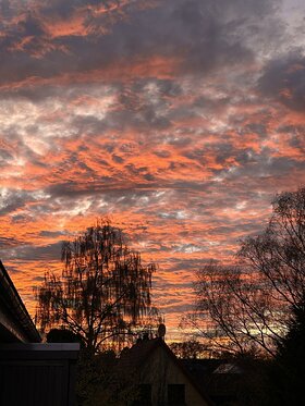 Najładniejsze zdjęcie użytkownika Louisa997 - 