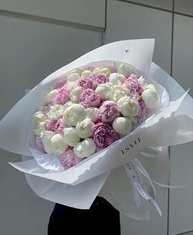 Najładniejsze zdjęcie użytkownika pysia620 - 