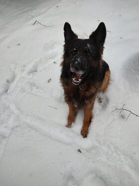 Najładniejsze zdjęcie użytkownika NhS - 