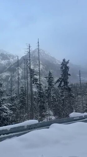 Najładniejsze zdjęcie użytkownika GucciMen23 - 