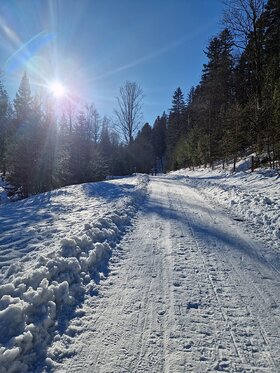 Najładniejsze zdjęcie użytkownika Aluuunia74 - 