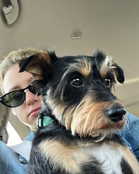 Najładniejsze zdjęcie użytkownika josepheluwole33 - 