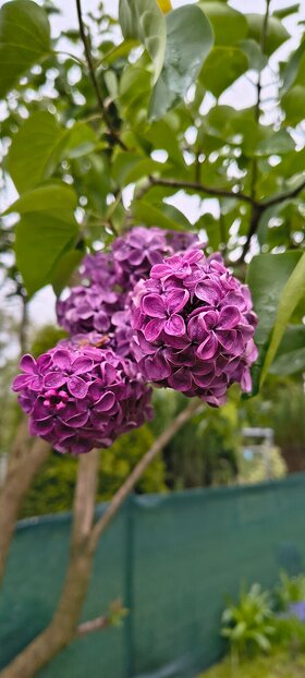 Najładniejsze zdjęcie użytkownika walczakp38gmail - 