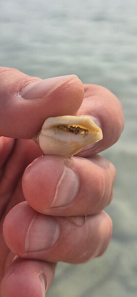 Najładniejsze zdjęcie użytkownika gosiagut4 - 