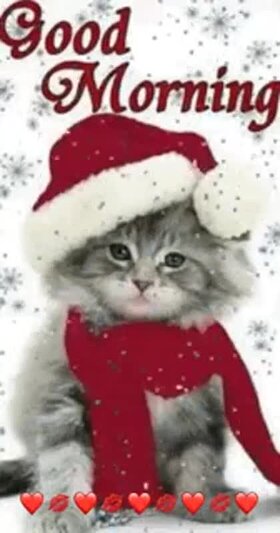 Najładniejsze zdjęcie użytkownika sm2231744 - 